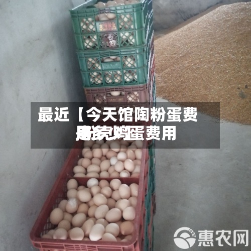 最近【今天馆陶粉蛋费用
,粉壳鸡蛋费用
是多少】