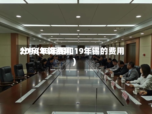 2018年锡费用
分析(18年锡和19年锡的费用
)-第2张图片