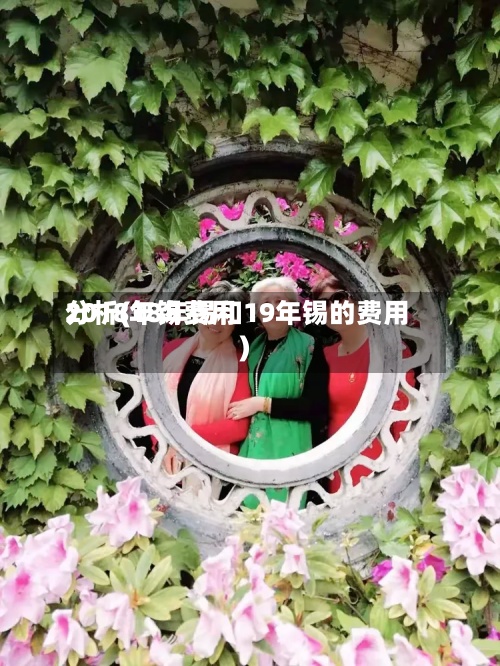 2018年锡费用分析(18年锡和19年锡的费用)