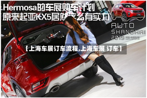【上海车展订车流程,上海车展 订车】
