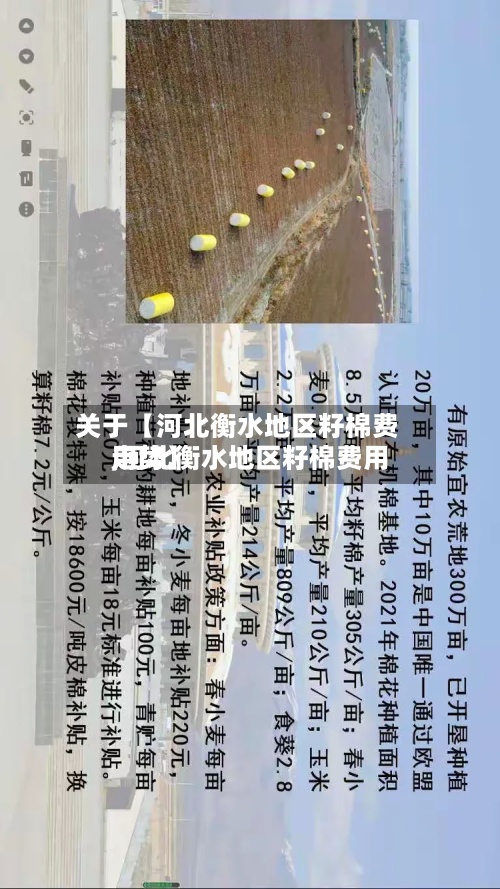 关于【河北衡水地区籽棉费用
,河北衡水地区籽棉费用
走势】-第3张图片