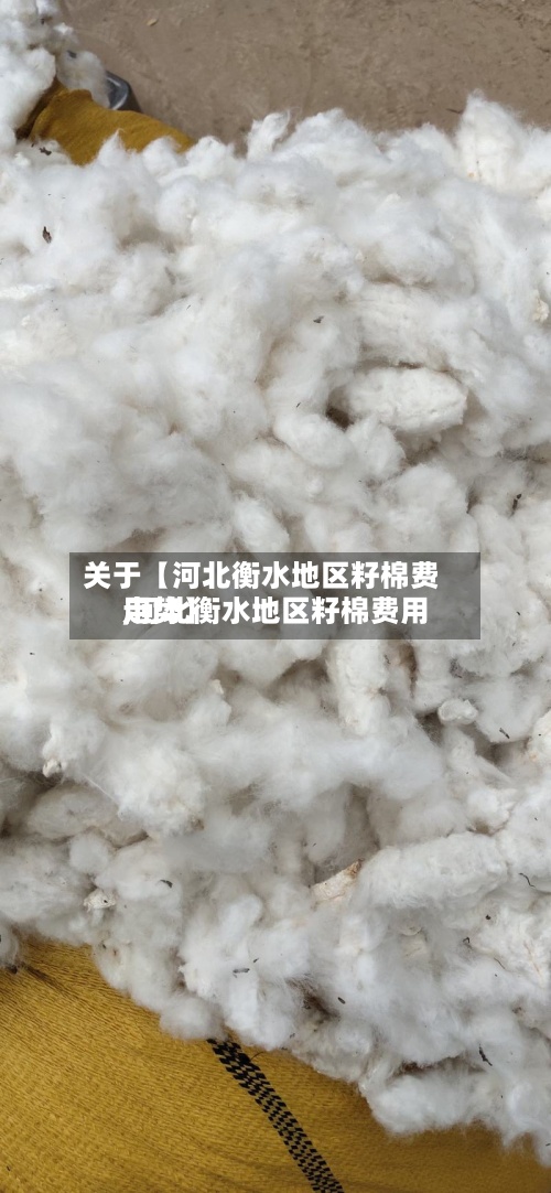 关于【河北衡水地区籽棉费用,河北衡水地区籽棉费用走势】
