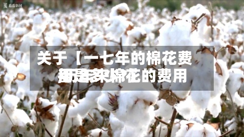 关于【一七年的棉花费用
,历年来棉花的费用
都是多少?】