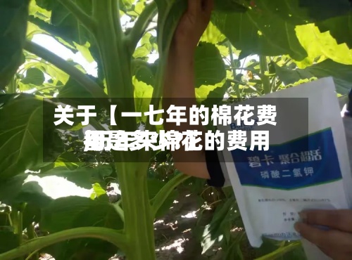 关于【一七年的棉花费用
,历年来棉花的费用
都是多少?】-第3张图片