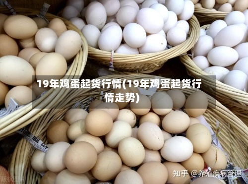 19年鸡蛋起货行情(19年鸡蛋起货行情走势)