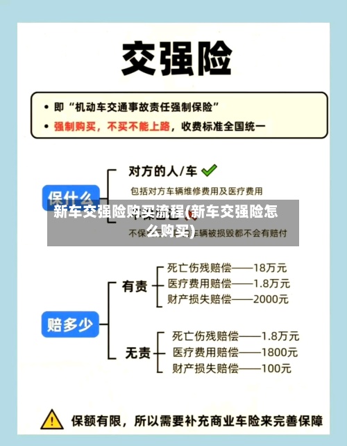 新车交强险购买流程(新车交强险怎么购买)