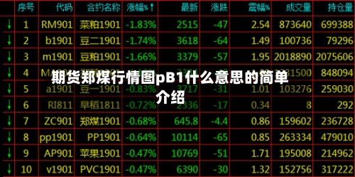 期货郑煤行情图pB1什么意思的简单介绍