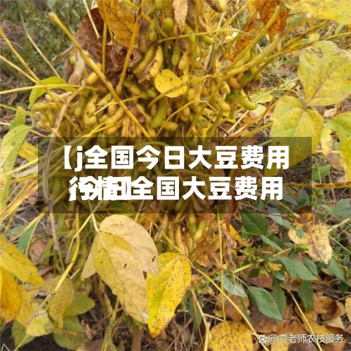 【j全国今日大豆费用
,今日全国大豆费用
行情】-第2张图片
