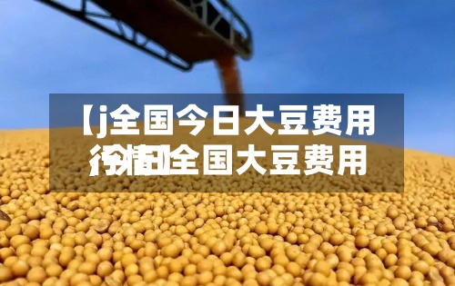 【j全国今日大豆费用
,今日全国大豆费用
行情】