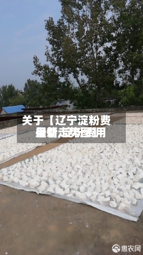关于【辽宁淀粉费用
行情,淀粉费用
最新走势图】
