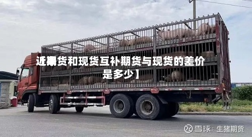 近来【期货和现货互补期货与现货的差价是多少】