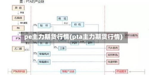 pe主力期货行情(pta主力期货行情)