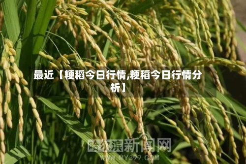 最近【粳稻今日行情,粳稻今日行情分析】-第2张图片