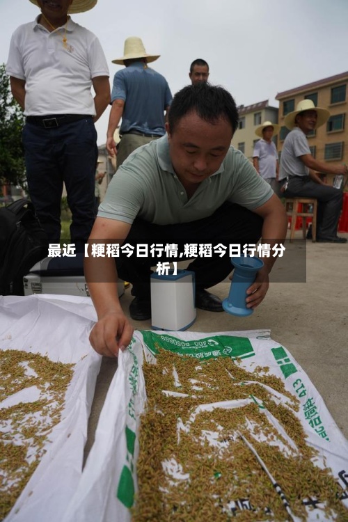最近【粳稻今日行情,粳稻今日行情分析】-第3张图片