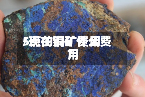 5点的铜矿费用
/现在铜矿什么费用
?-第2张图片