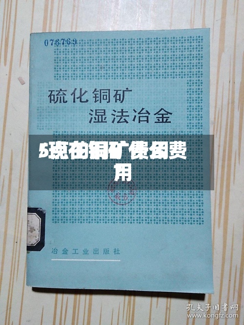5点的铜矿费用/现在铜矿什么费用?