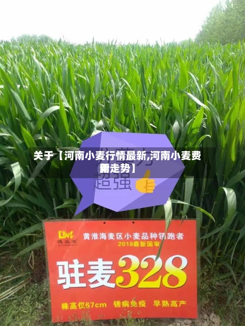 关于【河南小麦行情最新,河南小麦费用新走势】