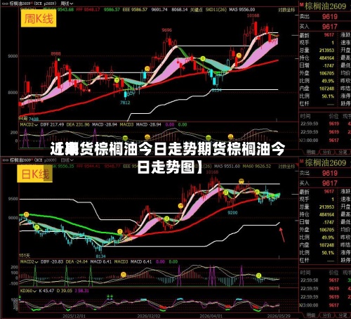 近来
【期货棕榈油今日走势期货棕榈油今日走势图】