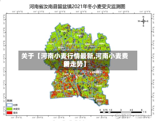 关于【河南小麦行情最新,河南小麦费用
新走势】-第3张图片