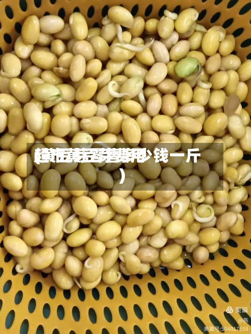 超市黄豆芽费用(黄豆芽零售多少钱一斤)-第2张图片