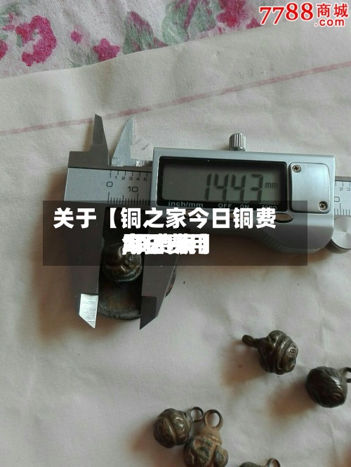 关于【铜之家今日铜费用
,铜费用
今日费用
2021表】-第2张图片