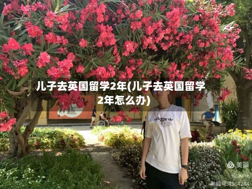 儿子去英国留学2年(儿子去英国留学2年怎么办)