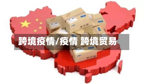 跨境疫情/疫情 跨境贸易