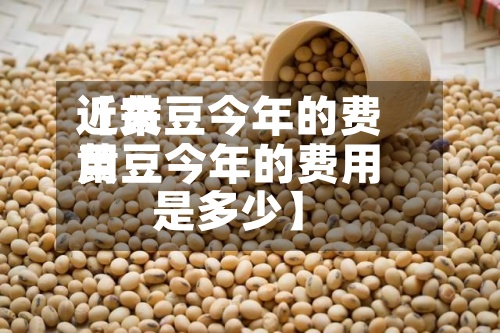 近来
【黄豆今年的费用
黄豆今年的费用
是多少】