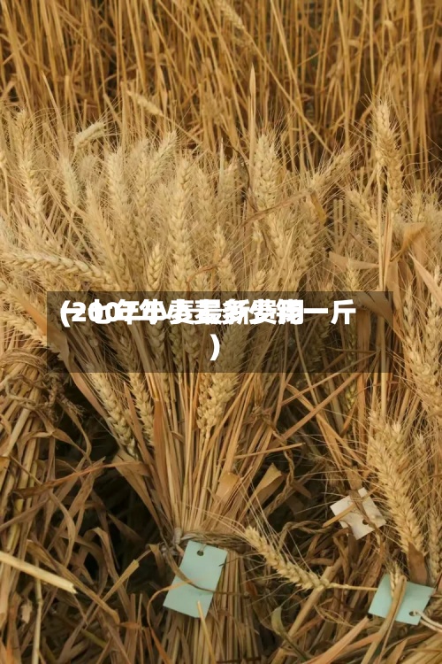 一七年小麦最新费用
(2007年小麦多少钱一斤)