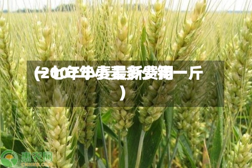 一七年小麦最新费用
(2007年小麦多少钱一斤)-第3张图片