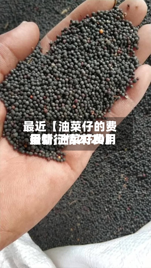 最近【油菜仔的费用行情,油菜籽费用最新行情2020】