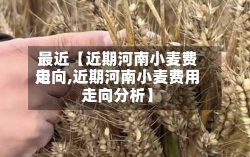 最近【近期河南小麦费用
走向,近期河南小麦费用
走向分析】