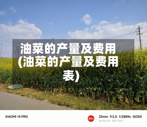 油菜的产量及费用
(油菜的产量及费用
表)