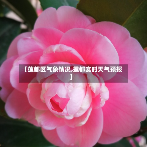 【莲都区气象情况,莲都实时天气预报】-第2张图片