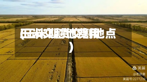 玉米交割地费用
(玉米期货交割地点)-第3张图片