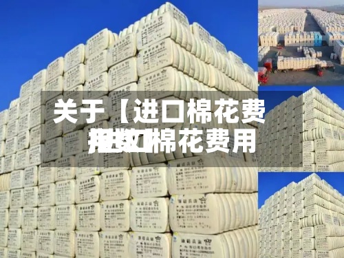 关于【进口棉花费用
,进口棉花费用
指数】-第2张图片