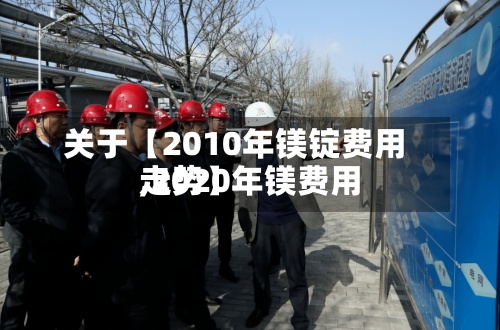 关于【2010年镁锭费用
,2020年镁费用
走势】