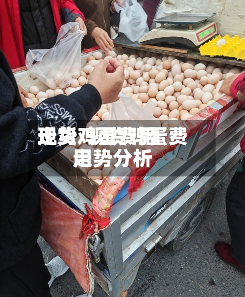 现货鸡蛋费用
走势/现货鸡蛋费用
走势分析-第3张图片