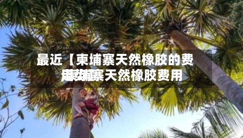 最近【柬埔寨天然橡胶的费用
,柬埔寨天然橡胶费用
走势】