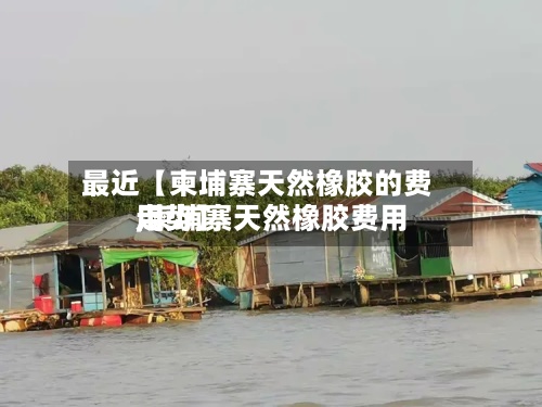 最近【柬埔寨天然橡胶的费用
,柬埔寨天然橡胶费用
走势】-第2张图片