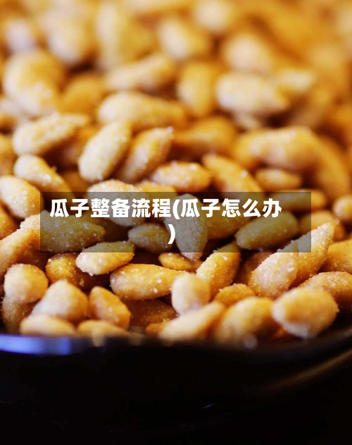 瓜子整备流程(瓜子怎么办)