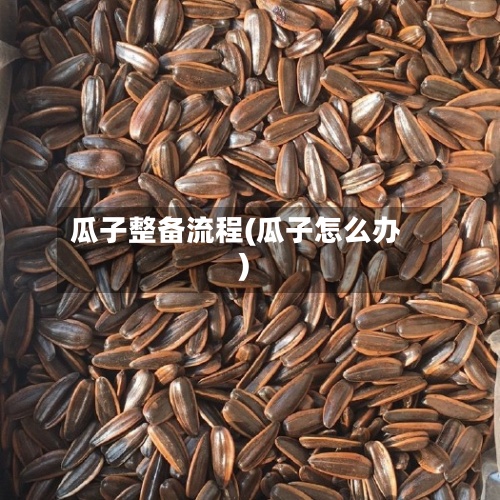 瓜子整备流程(瓜子怎么办)-第2张图片