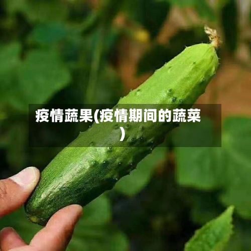 疫情蔬果(疫情期间的蔬菜)