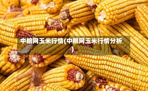中粮网玉米行情(中粮网玉米行情分析)