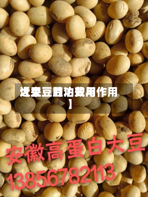 近来【大豆豆泊费用大豆豆的功效与作用】-第3张图片