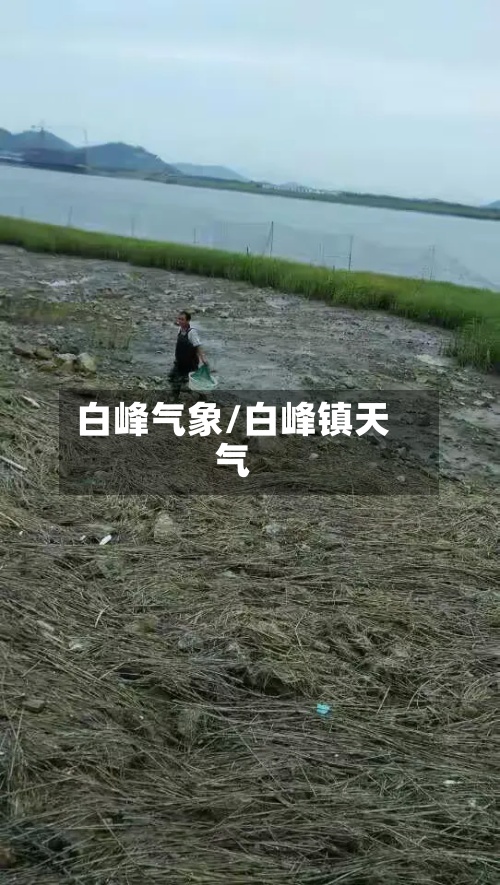白峰气象/白峰镇天气