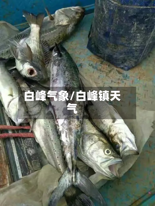 白峰气象/白峰镇天气-第2张图片