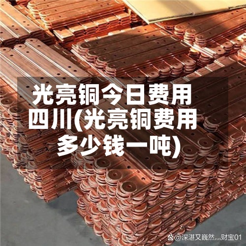 光亮铜今日费用
四川(光亮铜费用
多少钱一吨)