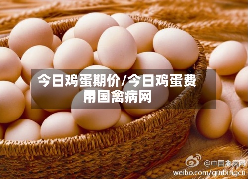 今日鸡蛋期价/今日鸡蛋费用
中国禽病网