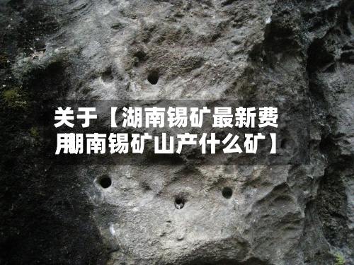 关于【湖南锡矿最新费用
,湖南锡矿山产什么矿】-第2张图片